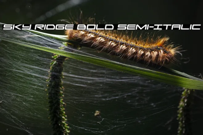 Sky Ridge Bold Semi-Italic Example 2