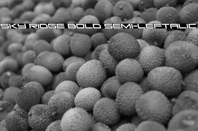 Sky Ridge Bold Semi-Leftalic Font examples