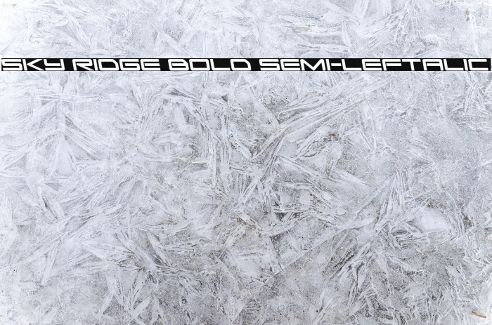 Sky Ridge Bold Semi-Leftalic Example 2