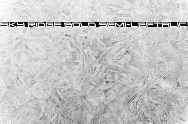 Sky Ridge Bold Semi-Leftalic Font examples
