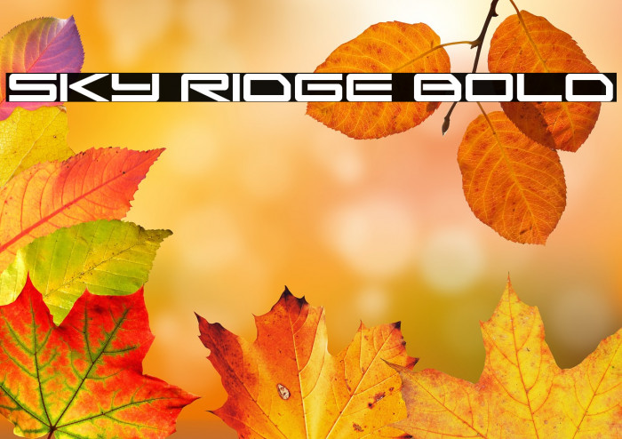 Sky Ridge Bold Example 1