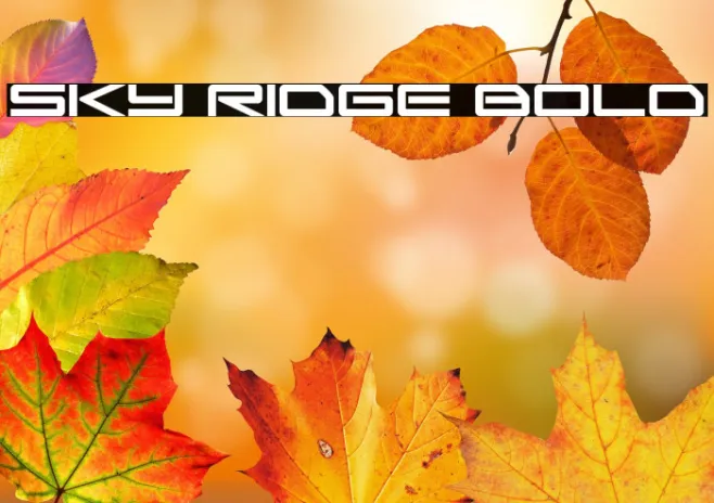 Sky Ridge Bold Example 1