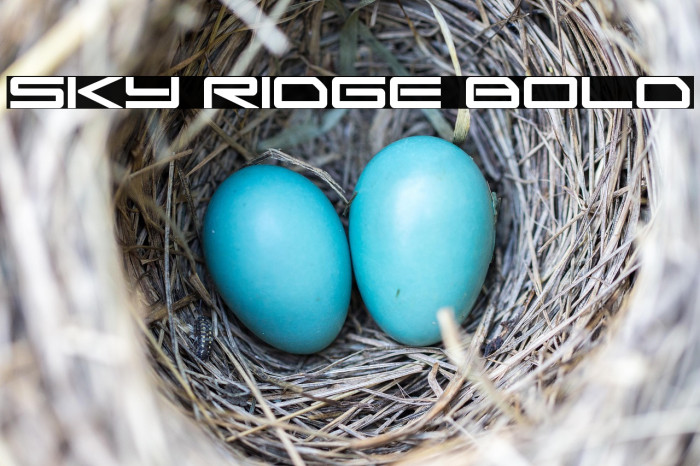 Sky Ridge Bold Example 2