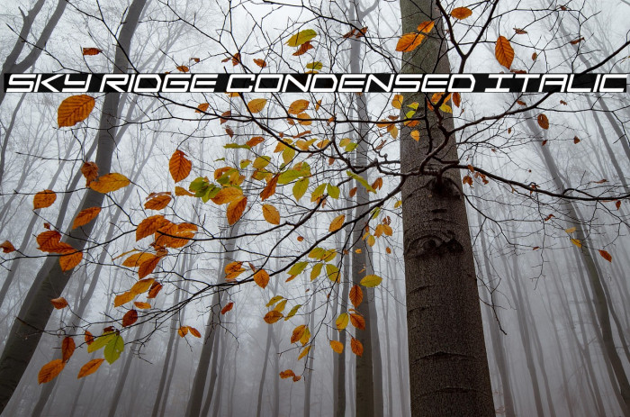 Sky Ridge Condensed Italic Example 2
