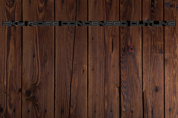 Sky Ridge Condensed Outline Example 1