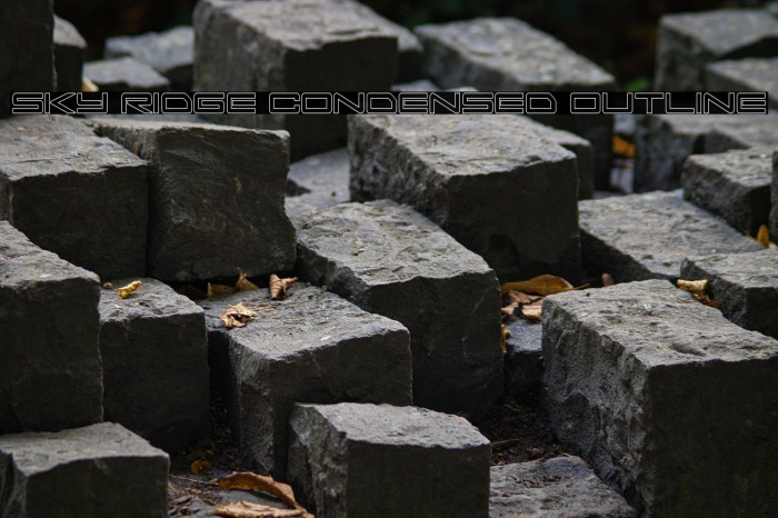 Sky Ridge Condensed Outline Example 2