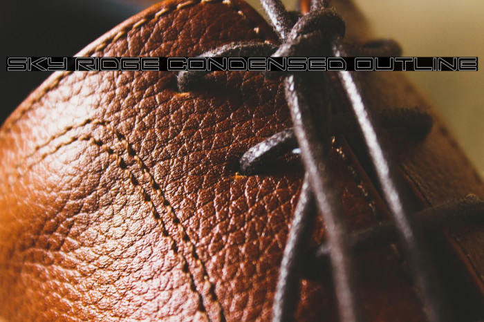 Sky Ridge Condensed Outline Example 3