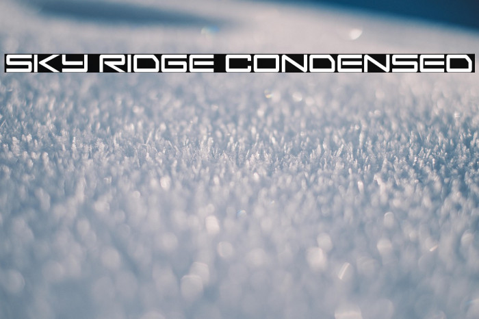 Sky Ridge Condensed Example 2