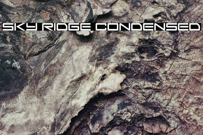 Sky Ridge Condensed Example 3