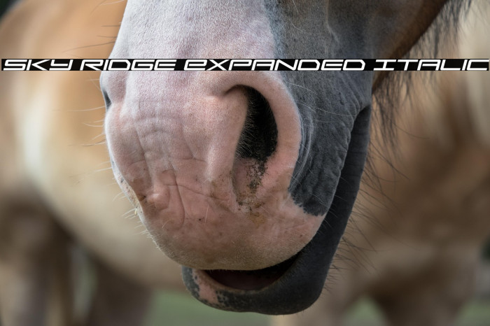 Sky Ridge Expanded Italic Example 1