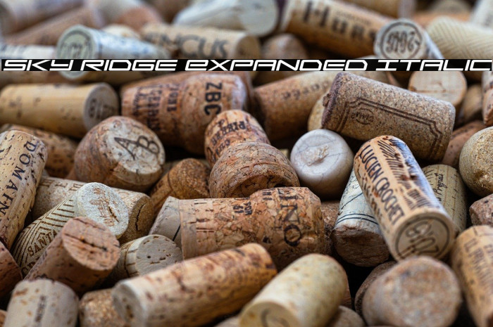 Sky Ridge Expanded Italic Example 2