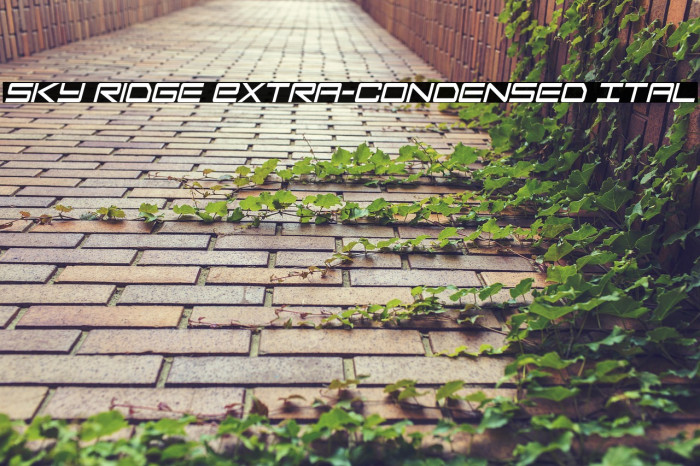 Sky Ridge Extra-Condensed Ital Example 1