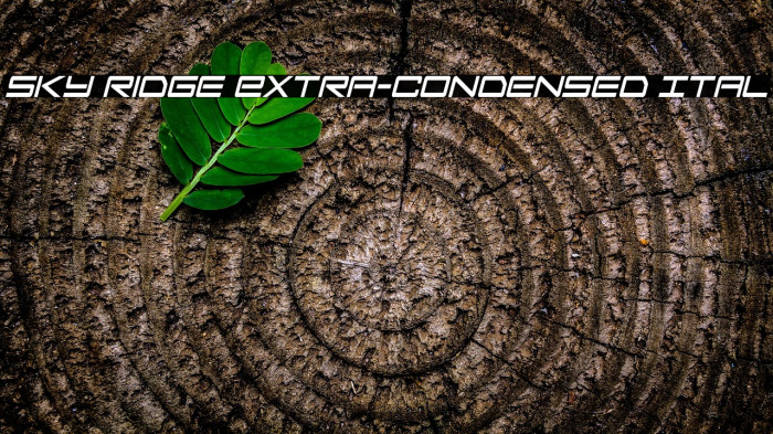 Sky Ridge Extra-Condensed Ital Example 2