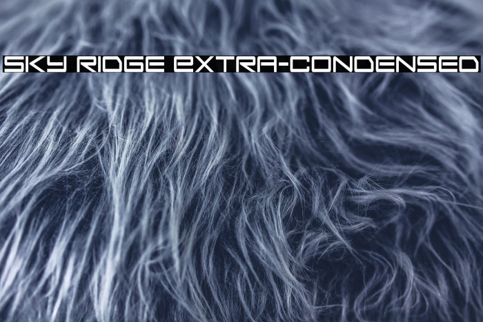 Sky Ridge Extra-Condensed Example 2