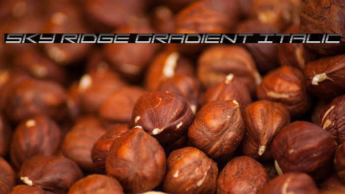 Sky Ridge Gradient Italic Example 2