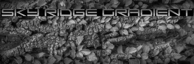 Sky Ridge Gradient Font examples