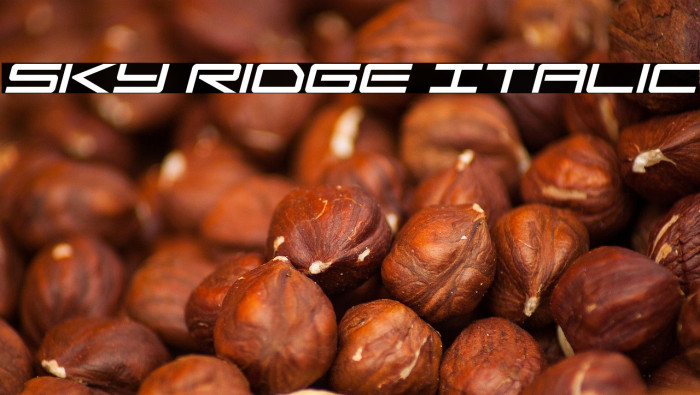 Sky Ridge Italic Example 3