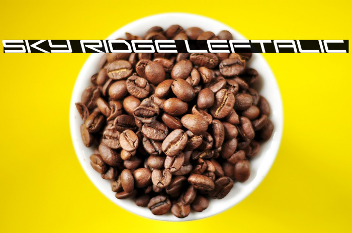 Sky Ridge Leftalic Example 1