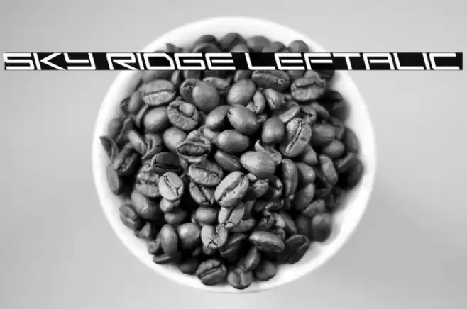 Sky Ridge Leftalic Font examples