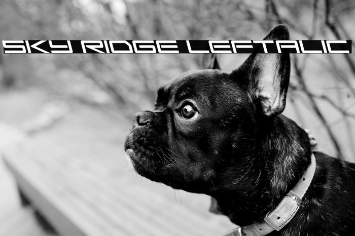 Sky Ridge Leftalic Example 2
