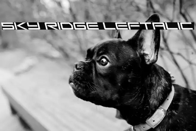 Sky Ridge Leftalic Font examples