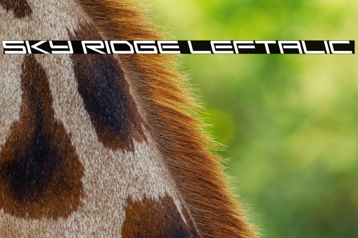 Sky Ridge Leftalic Example 3