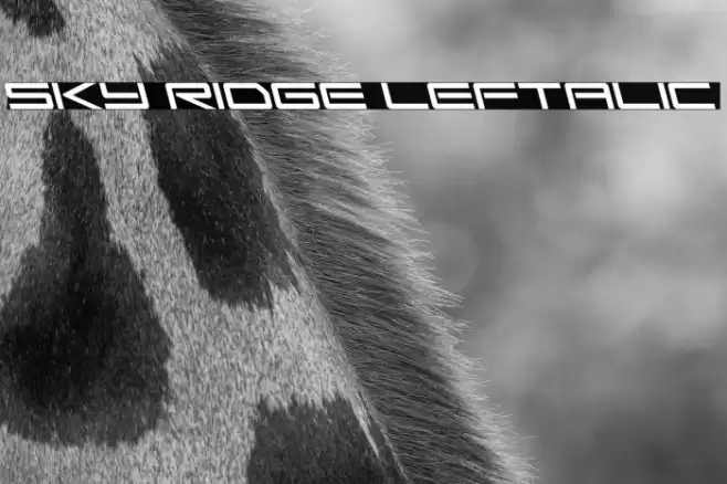 Sky Ridge Leftalic Font examples