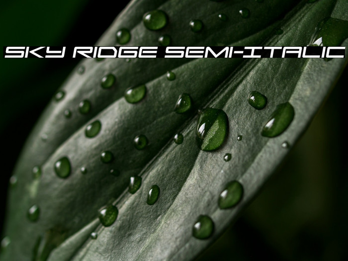 Sky Ridge Semi-Italic Example 2