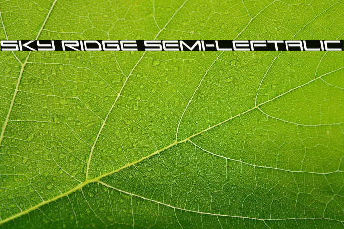 Sky Ridge Semi-Leftalic Example 1