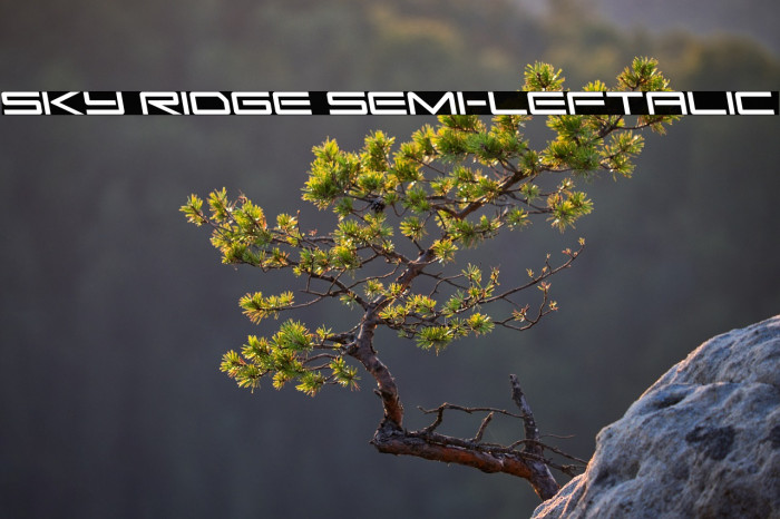 Sky Ridge Semi-Leftalic Example 2