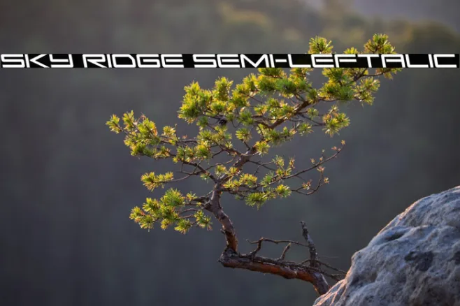 Sky Ridge Semi-Leftalic Example 2