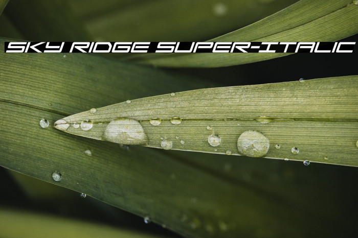 Sky Ridge Super-Italic Example 1