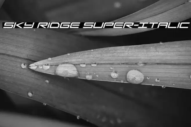 Sky Ridge Super-Italic Font examples