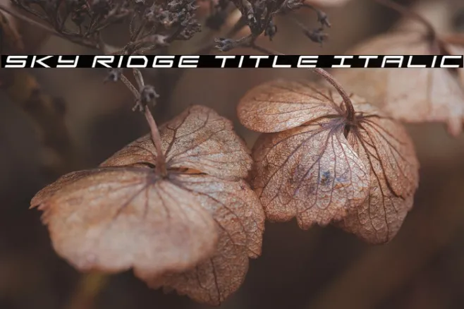 Sky Ridge Title Italic Example 2