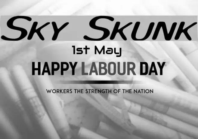 Sky Skunk Font examples