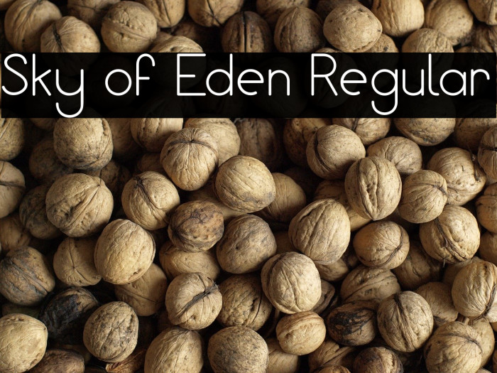 Sky of Eden Regular Example 1