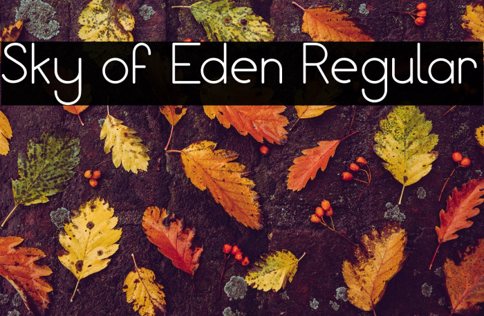 Sky of Eden Regular Example 3