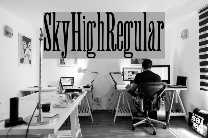 SkyHigh-Regular Example 2