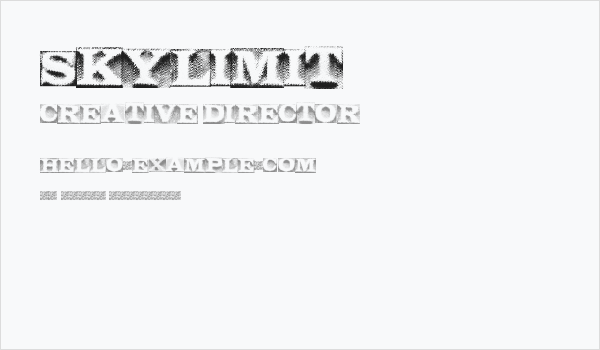 SkyLimit Business Card