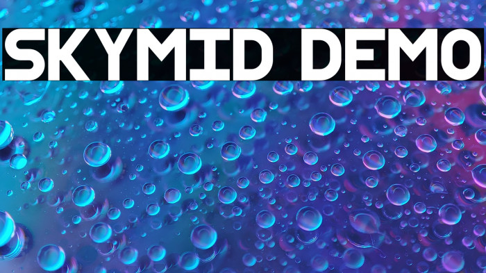 SkyMid Demo Example 3