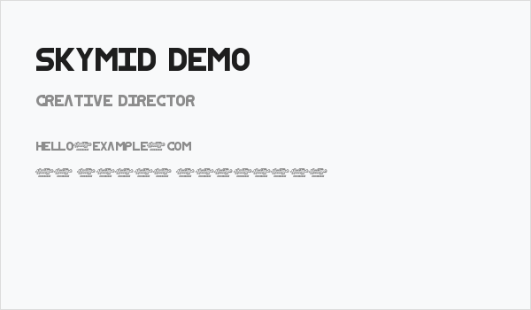 SkyMid Demo Business Card