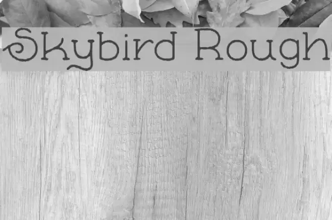 Skybird Rough Font examples