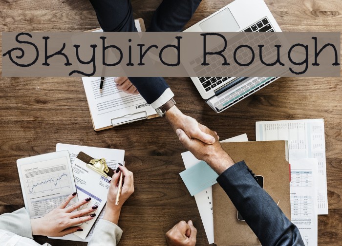 Skybird Rough Example 2