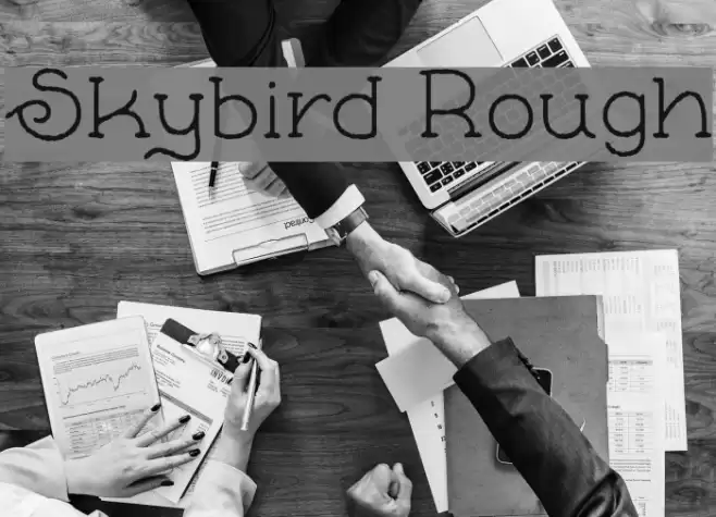 Skybird Rough Font examples
