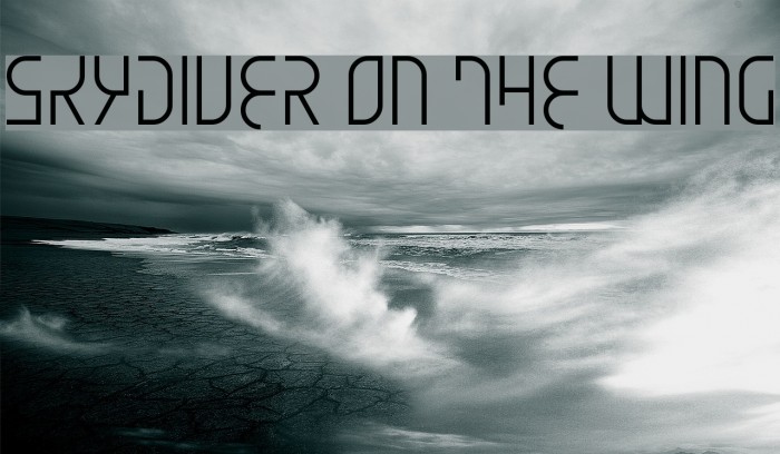 Skydiver On The Wing Example 1