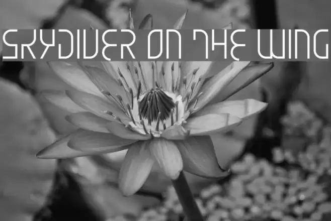 Skydiver On The Wing Font examples