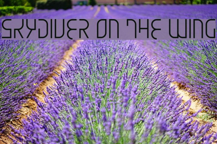 Skydiver On The Wing Example 3