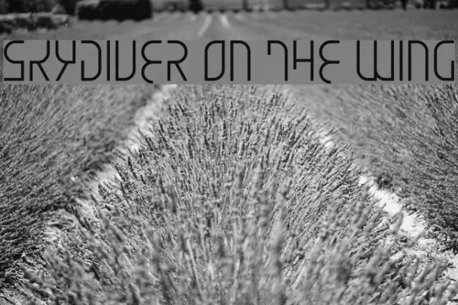 Skydiver On The Wing Font examples