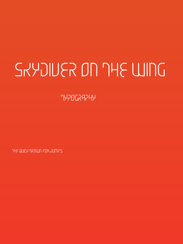 Skydiver On The Wing Poster