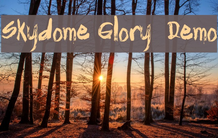 Skydome Glory - Demo Font examples